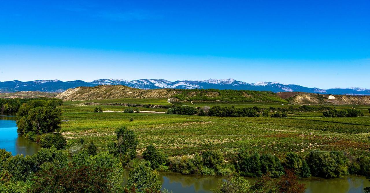 Apartamento Virgen Del Valle Cenicero Bagian luar foto