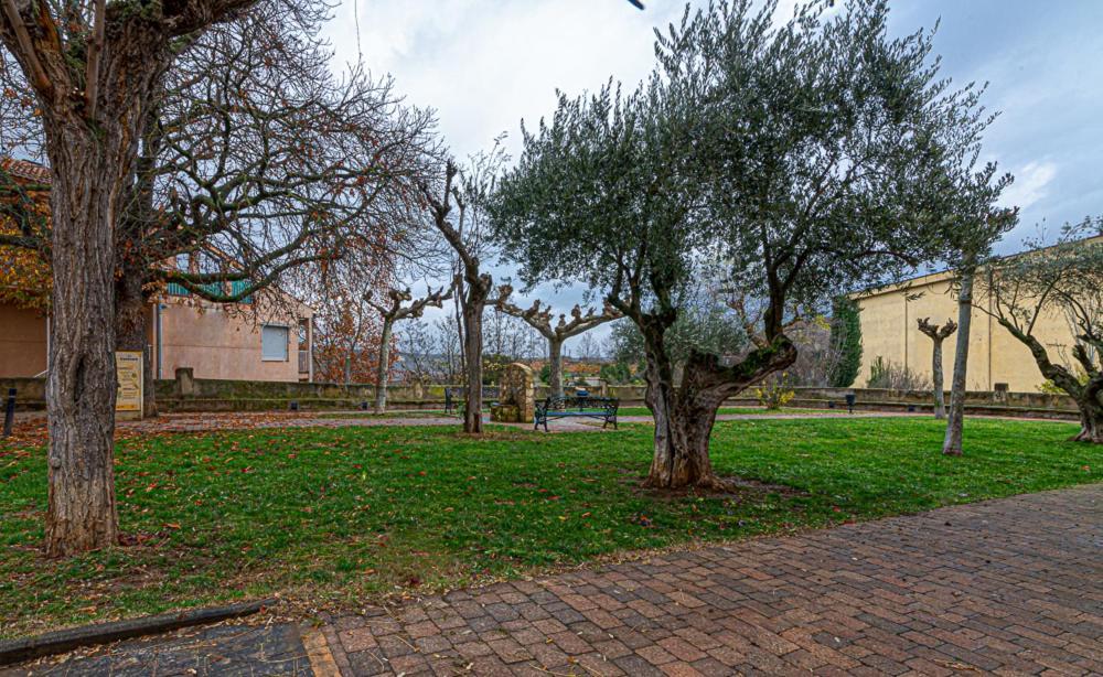 Apartamento Virgen Del Valle Cenicero Bagian luar foto
